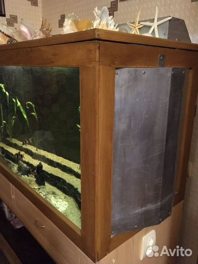 Аквариум