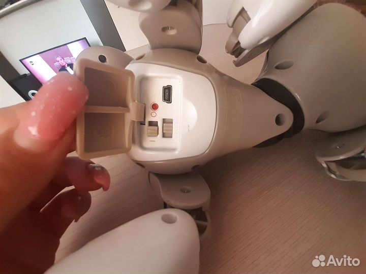 Развивающий робот собака