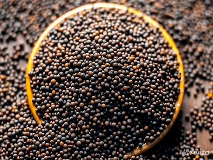 Чёрная горчица. Оптом от 1 тонны