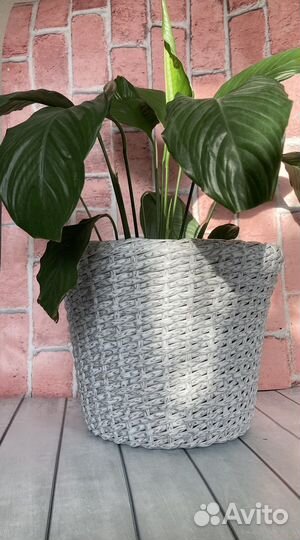 Кашпо плетенное