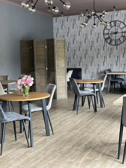 Общепит, 150 м²