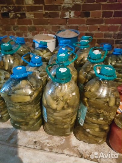 Огурцы соленые в бутылках