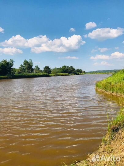 Платная рыбалка