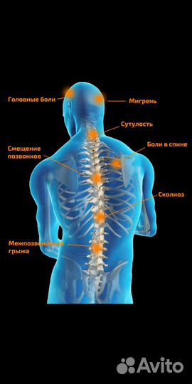 Костоправ - Кинезиолог -Массажист