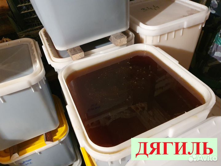 Мёд дягиль. Свежий 2023г. От пчеловода
