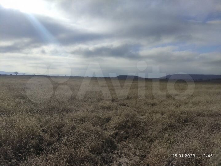 Участок 19 га (промназначения)