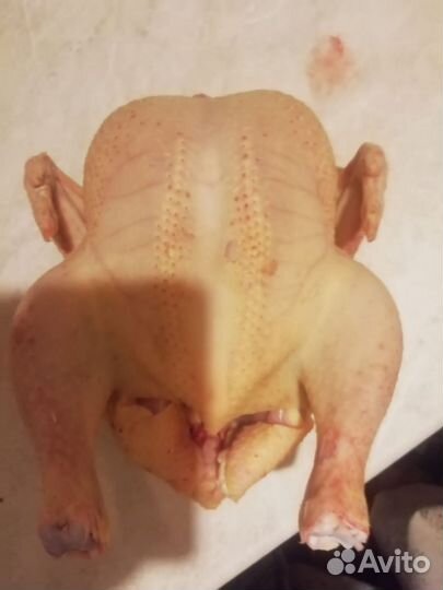 Куры бройлеры тушки мясо