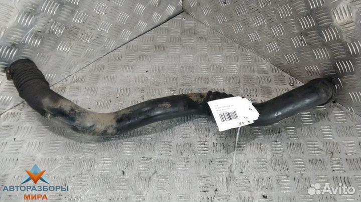 Патрубок (трубопровод, шланг) Renault Laguna рест