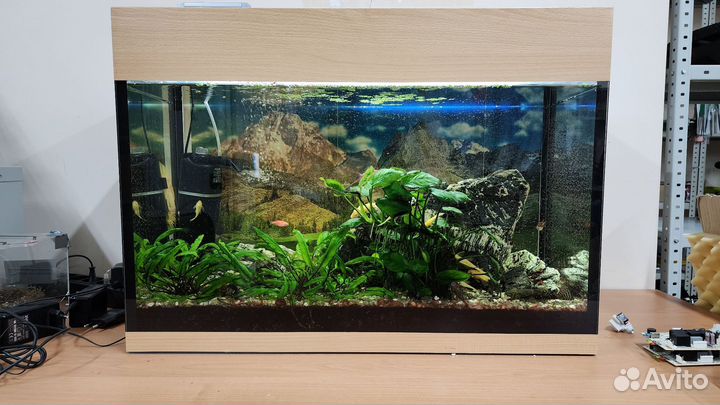 Аквариум 100л