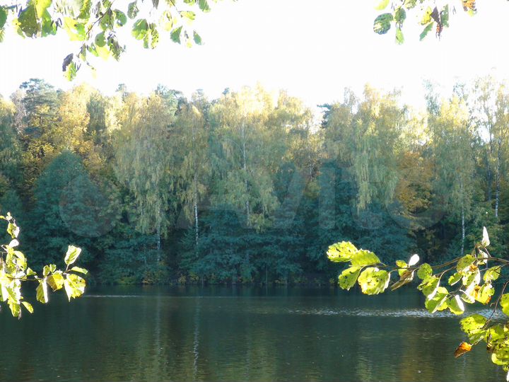 Участок 6 га (СНТ, ДНП)