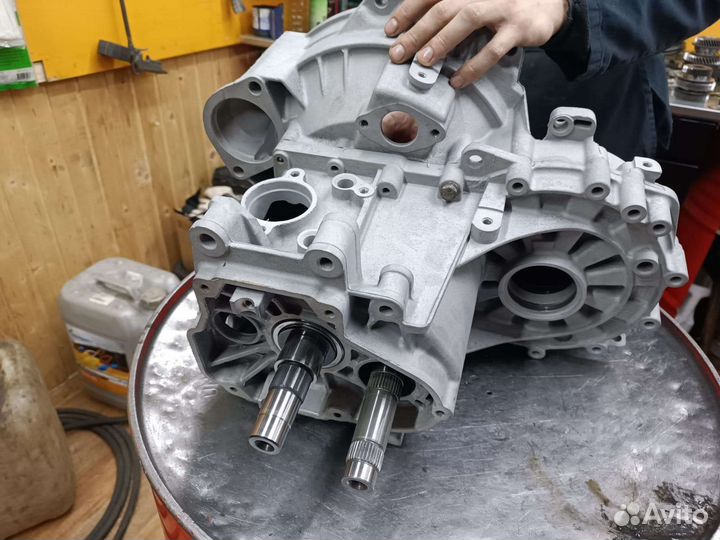 С мопсом глянули фото кп, он поперхнулся педигри