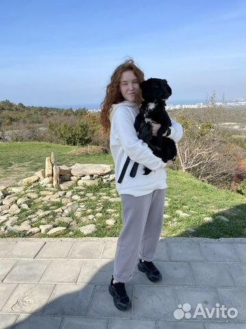 Кинолог, специалист по поведению собак