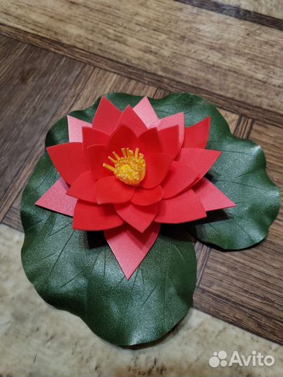 Декоративный лотос для пруда