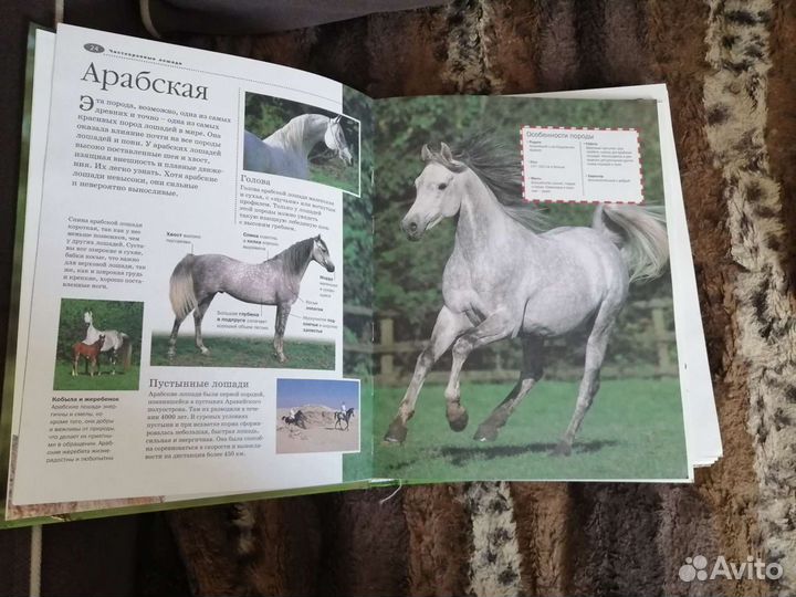 Лошади и пони энциклопедия иллюстрированная