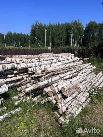 Береза, бревана