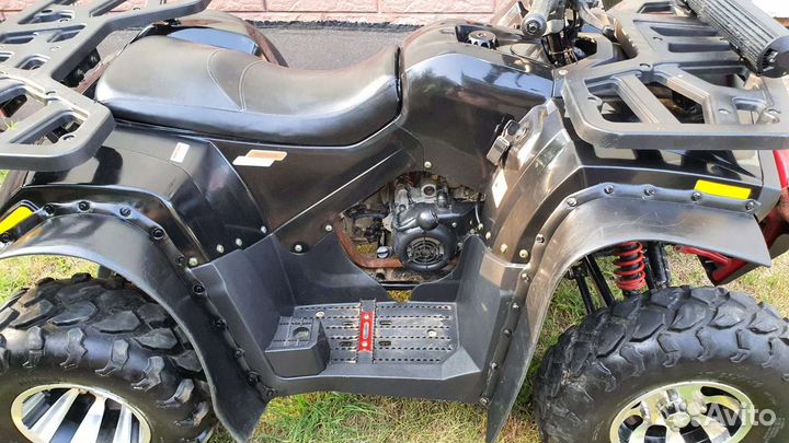 Avantis Hanter 200 new lux