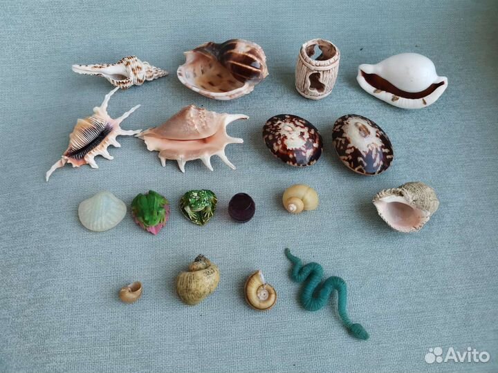 Декор для аквариума замок ракушки фигурки