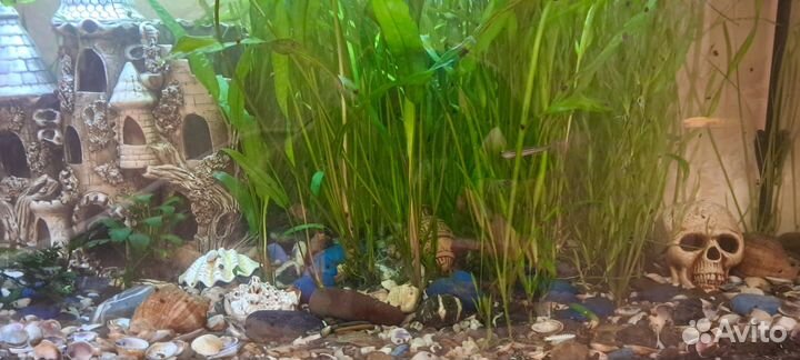 Аквариумный набор