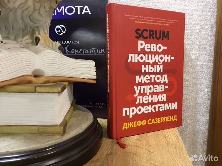 Революционный метод управления проектами 2016