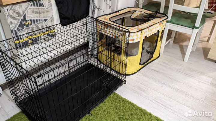 Клетка дом животных, аренда