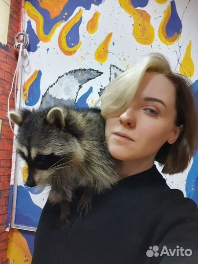 Догситтер / передержка собак, кошек, животных