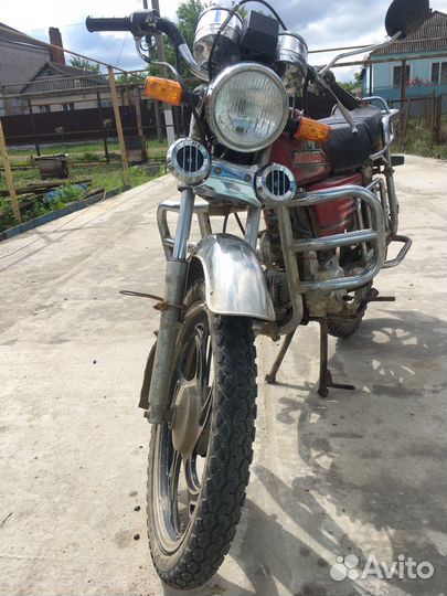 Продам вираго ирбис