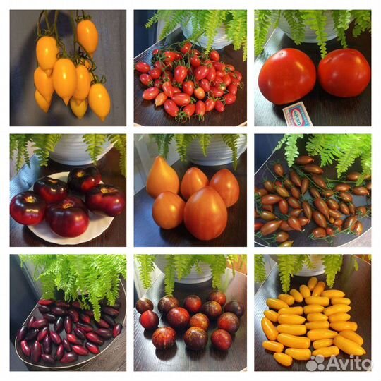 Семена томатов и перцев