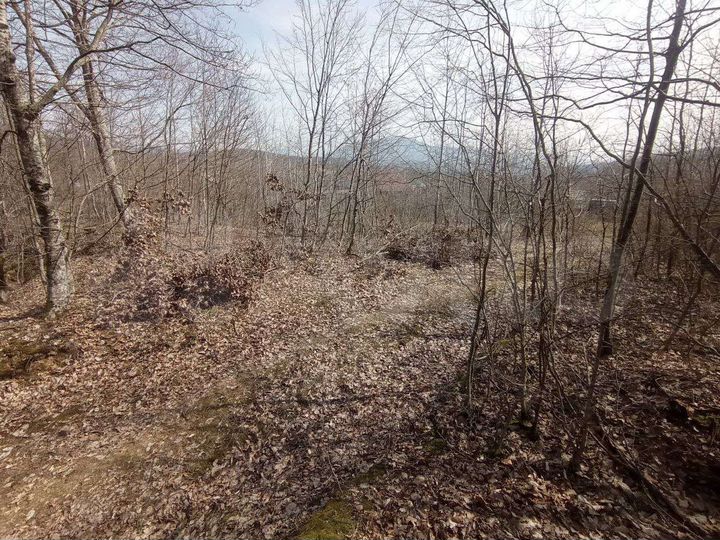 Участок 20 сот. (ИЖС)