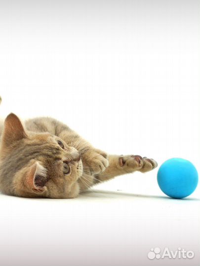 Игрушка для кошек