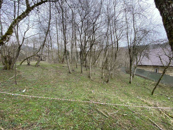 Участок 10,5 сот. (СНТ, ДНП)