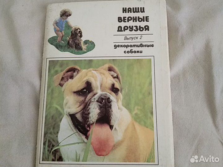 Открытки СССР