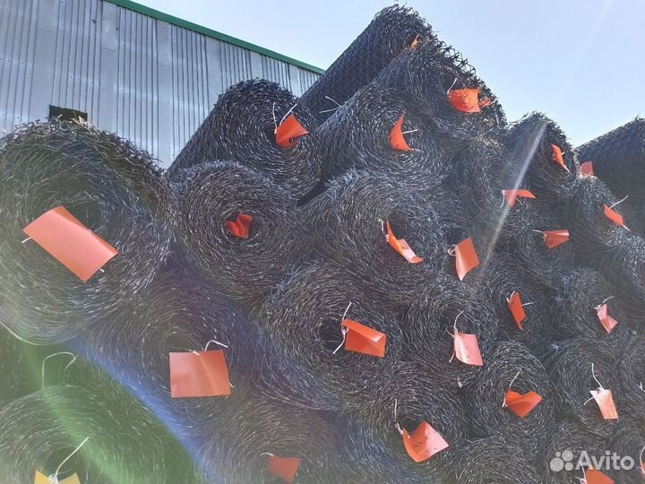 Геосетка Pascal