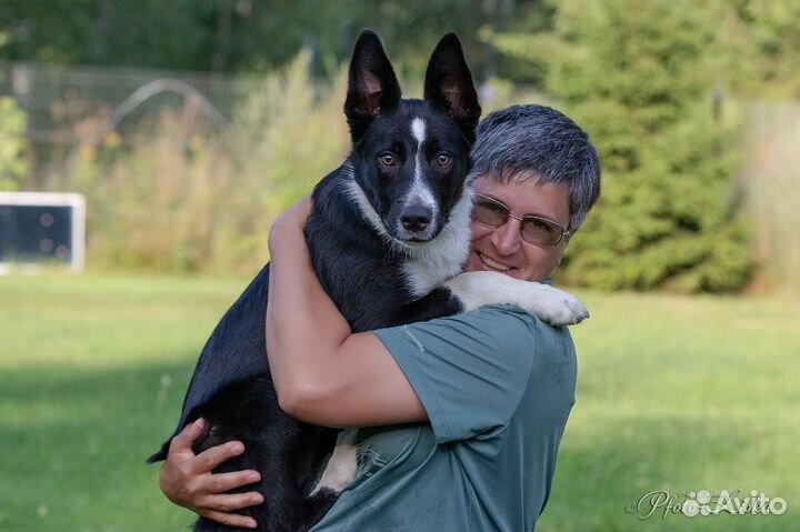 Кинолог с выездом / Зоопсихолог