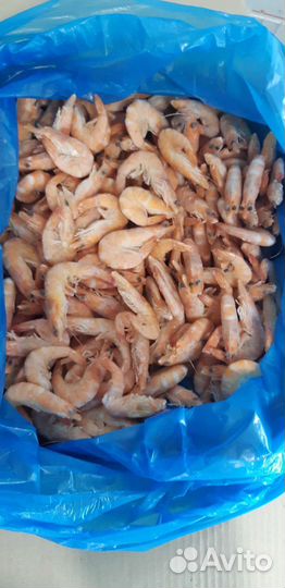 Рыбная бухта