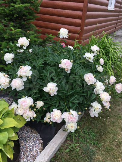 Дача 74 м² на участке 10 сот.