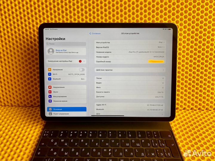 iPad Pro 11 2020 256gb Wi-fi