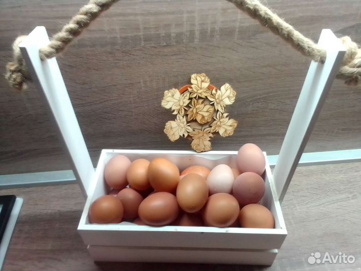 Куриное домашнее яйцо можно оптом