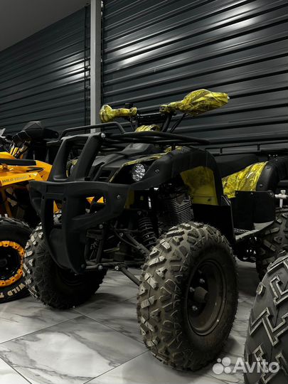 Квадроцикл