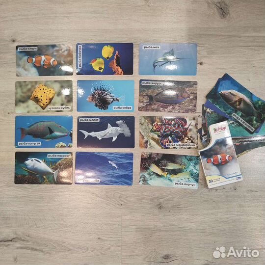 Умница. Мир на ладошке. Карточки