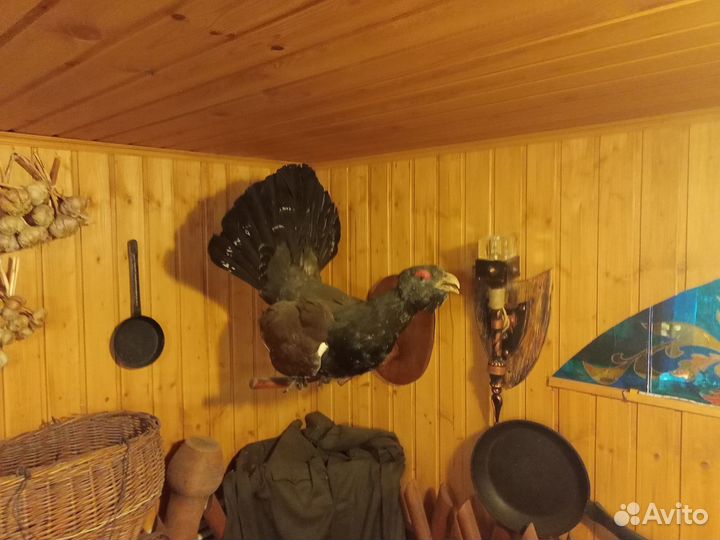 Чучело глухая