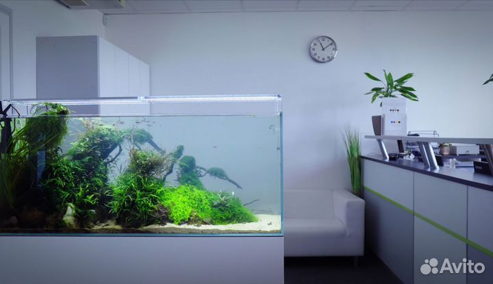 Обслуживание аквариумов