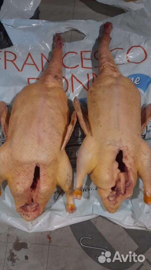 Утка в тушках