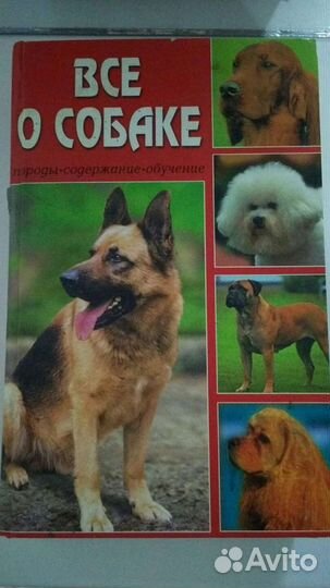 «Всё о собаке» Дороган, Челнокова