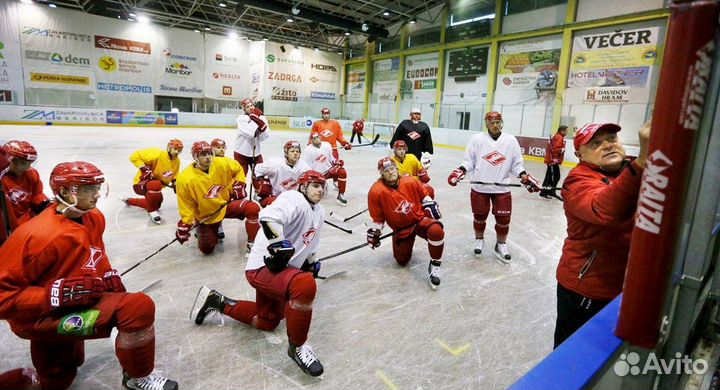 Тренировочный свитер Спартак