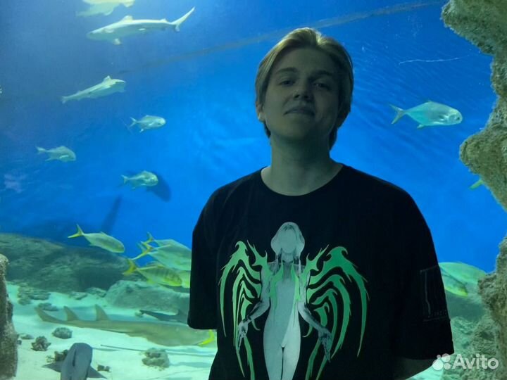 Unity разработчик