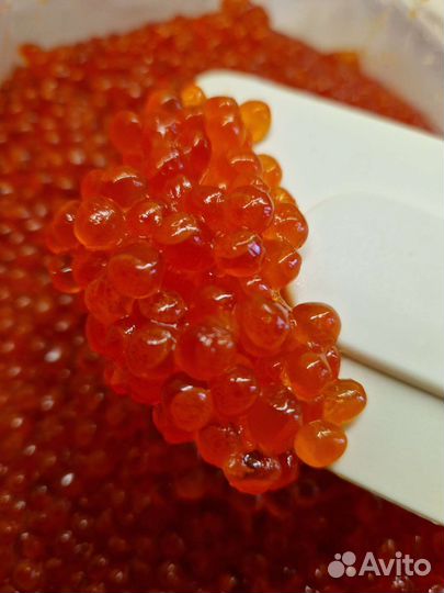 Икра красная