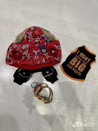 Одежда для маленьких собак