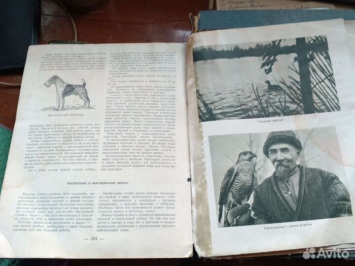 Старинная книга Охотника том ll СССР