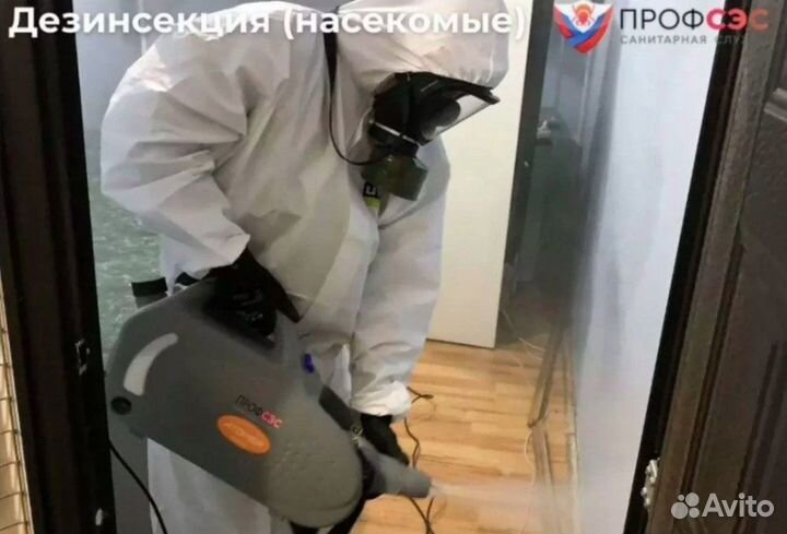 Уничтожение тараканов, травить клопов. Дезинфекция