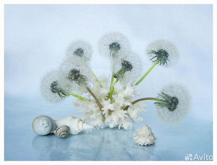 Цифровая мыльница Canon PowerShot A3000 IS примеры